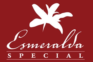 Esmeralda Special 2012 藝伎