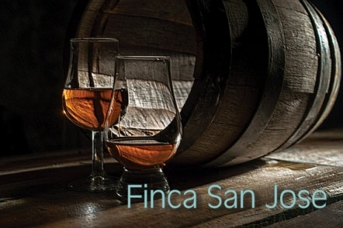 聖荷西莊園-橡木桶系
