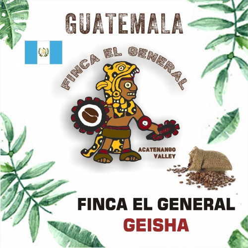 瓜地馬拉 黑娜若.藝