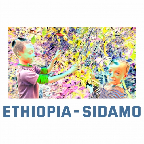 衣索比亞Sidamo