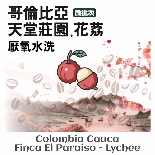 哥倫比亞 天堂莊園-