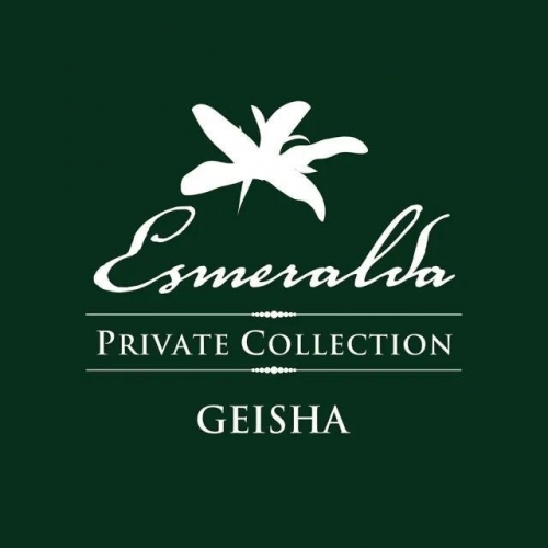 巴拿馬 翡翠莊園 綠